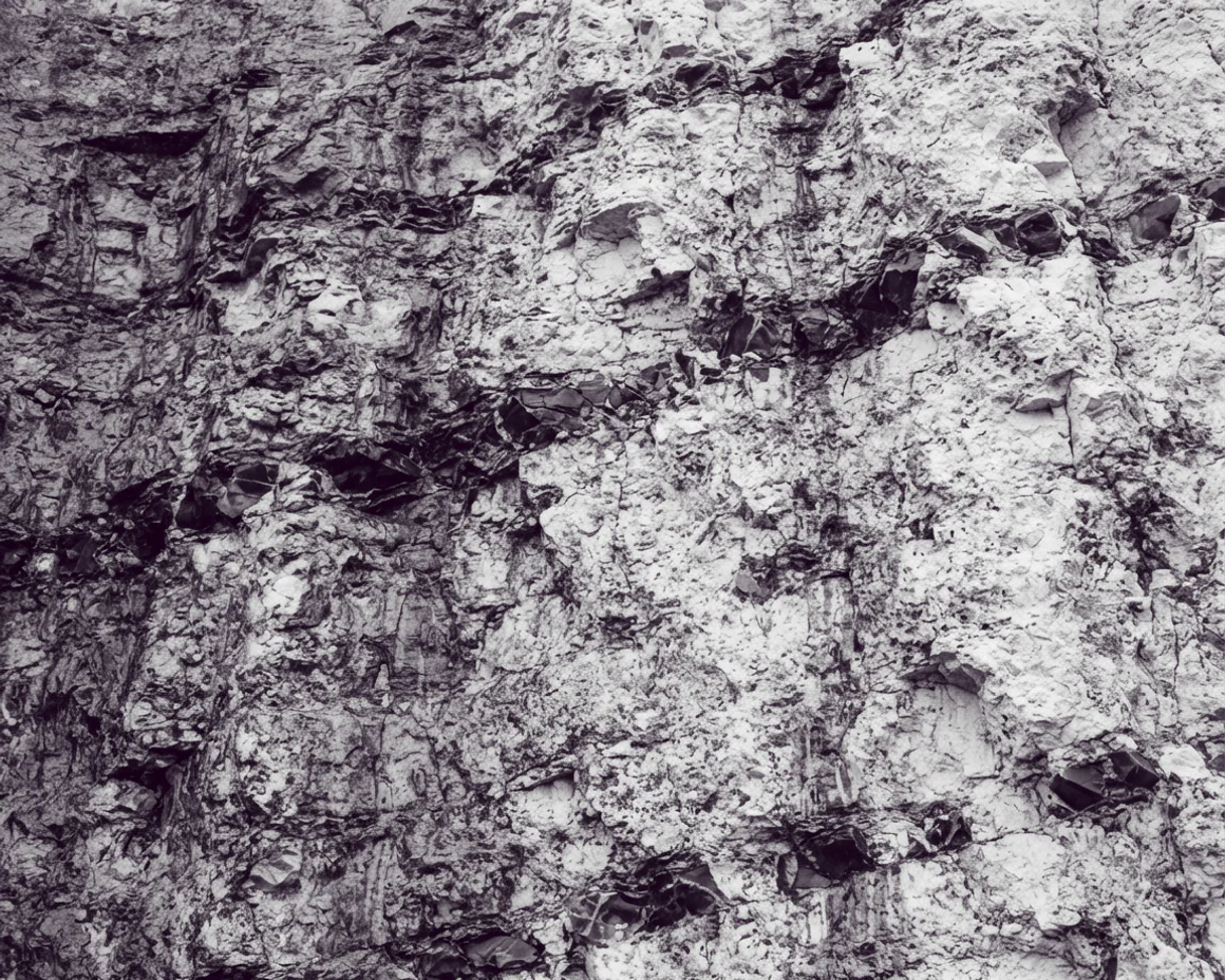 A wet chalk cliff face filling the frame, dark flint bands and shadowed fissures cutting across bright chalk.