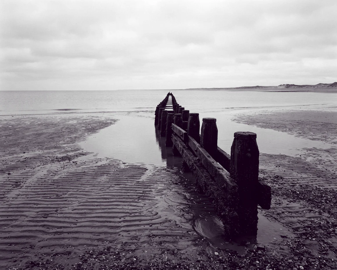 A line of weathered timber groynes running out into flat shallow water over ribbed wet sand at low tide.