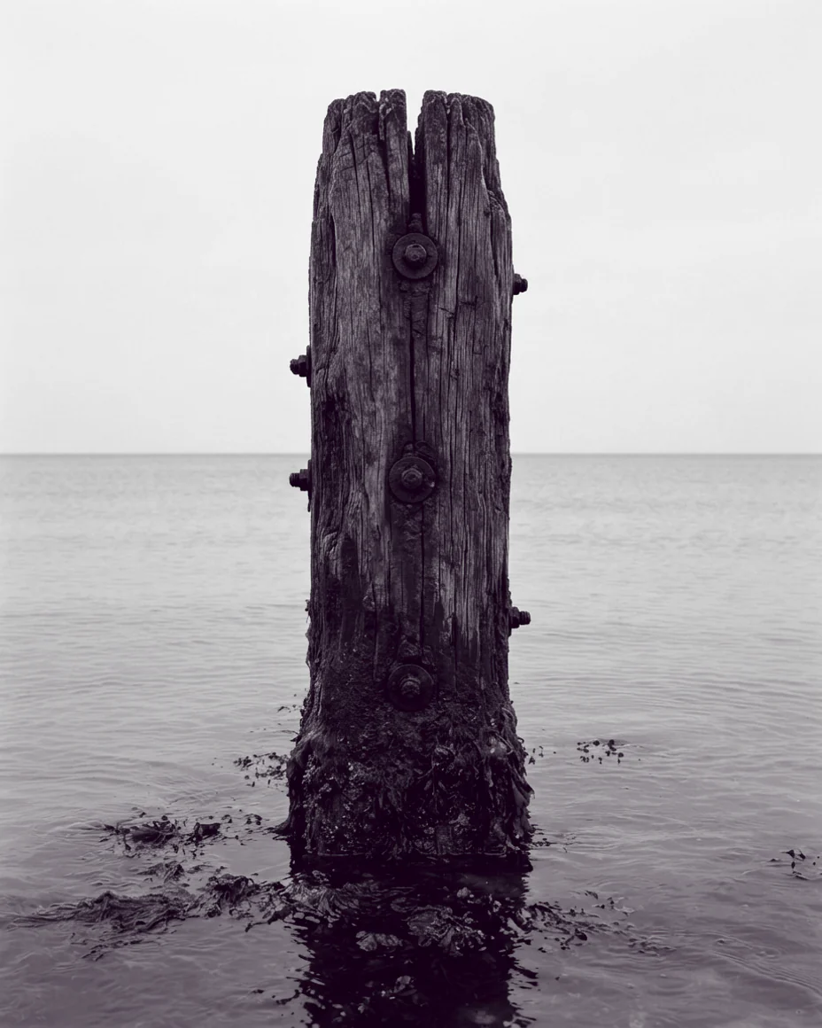 A single split and bolted groyne post standing in shallow water, filling the upright frame.