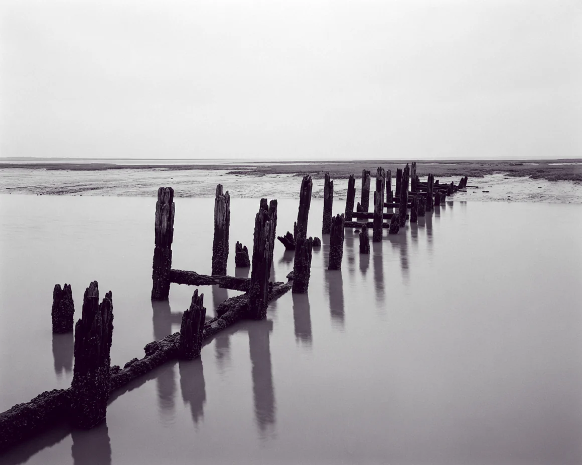 The rotted remains of a wooden jetty, a ragged rank of black pilings standing in still shallow water with their reflections.