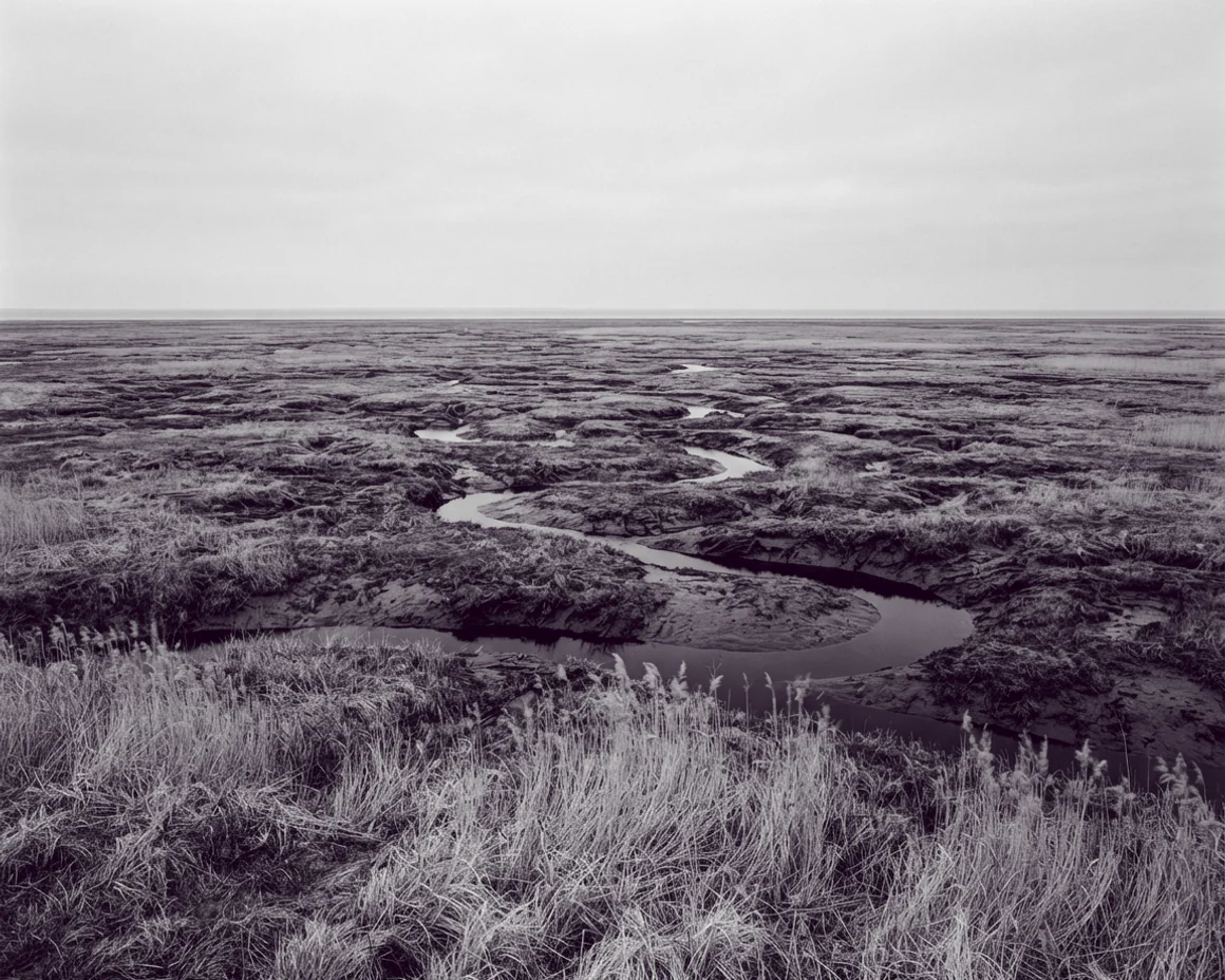 Sinuous dark tidal creeks cut through pale marsh grass, seen from a low bank under a flat sky.